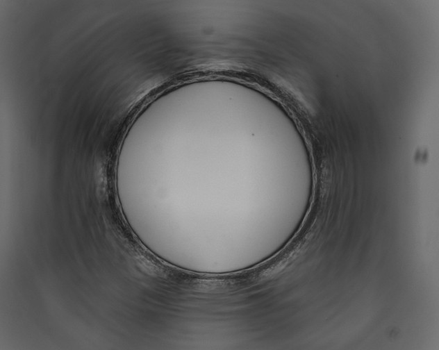 X0000089421305200707131814