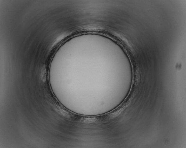 X0000089421306200707131814
