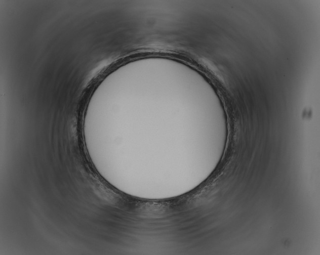 X0000089421307200707131814