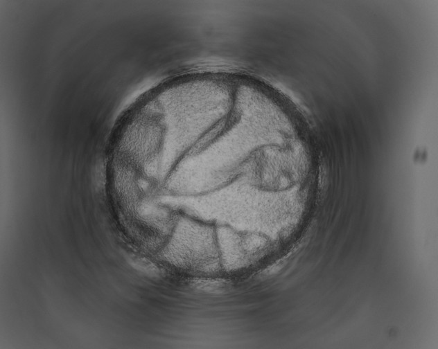 X0000089421309200707131814