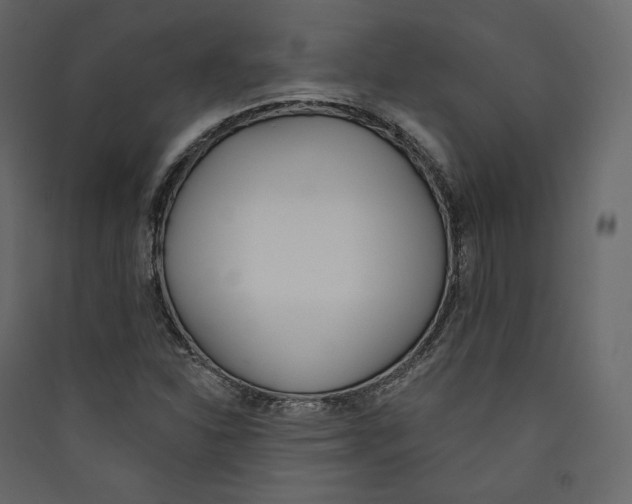X0000089421310200707131814