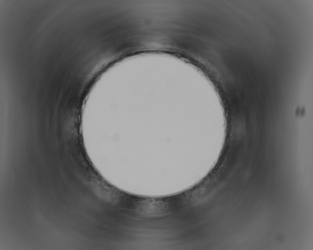 X0000089421314200707131814