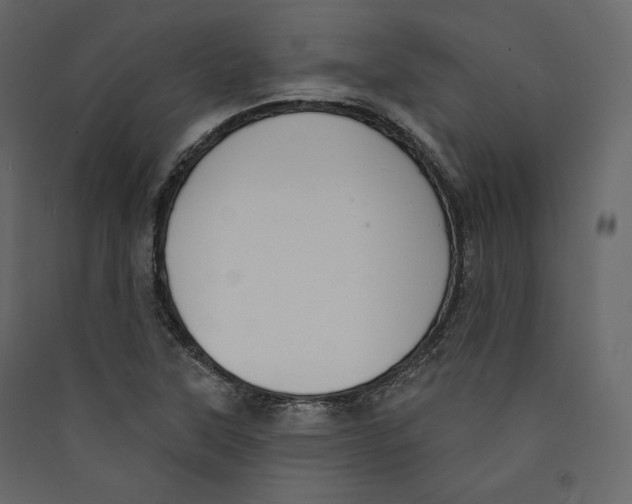 X0000089421315200707131814