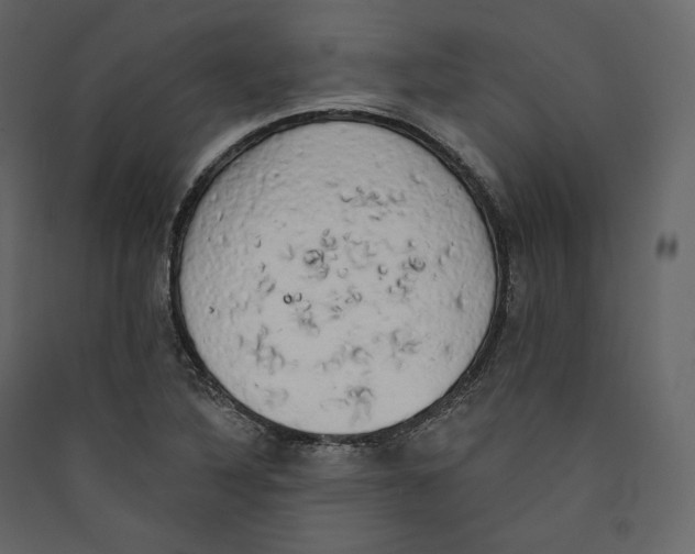 X0000089421316200707131814