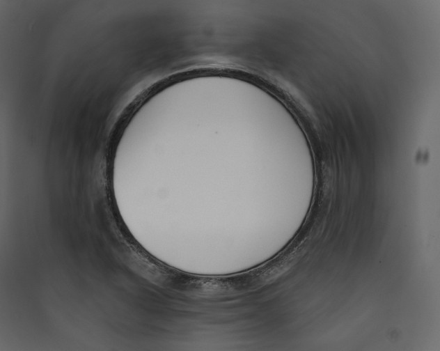 X0000089421318200707131814