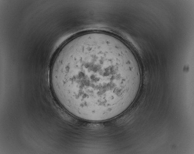 X0000089421320200707131814
