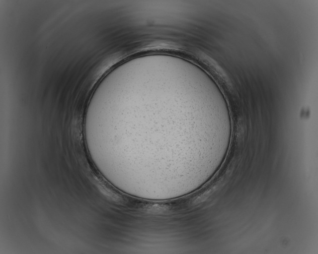 X0000089421321200707131814