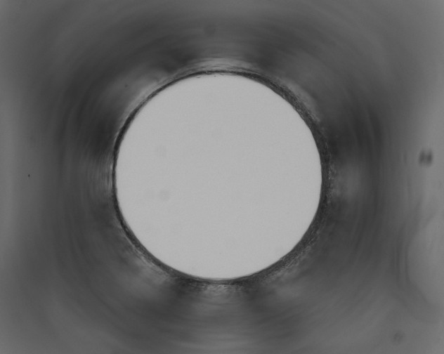 X0000089421322200707131814