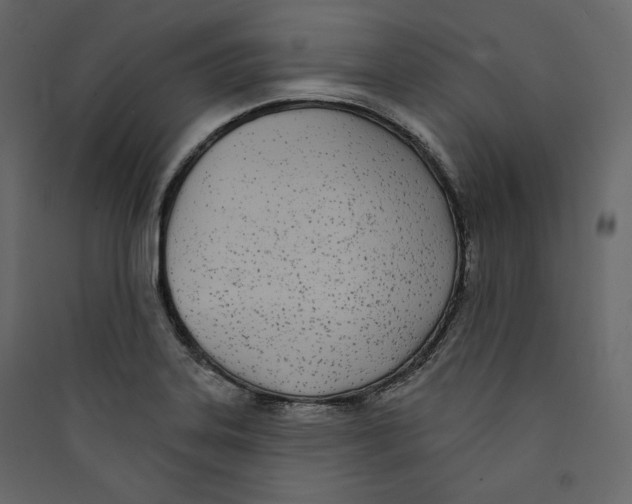 X0000089421323200707131814