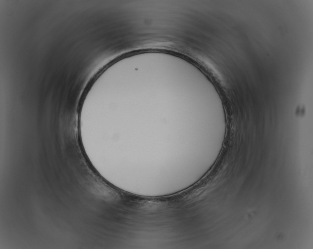 X0000089421324200707131814