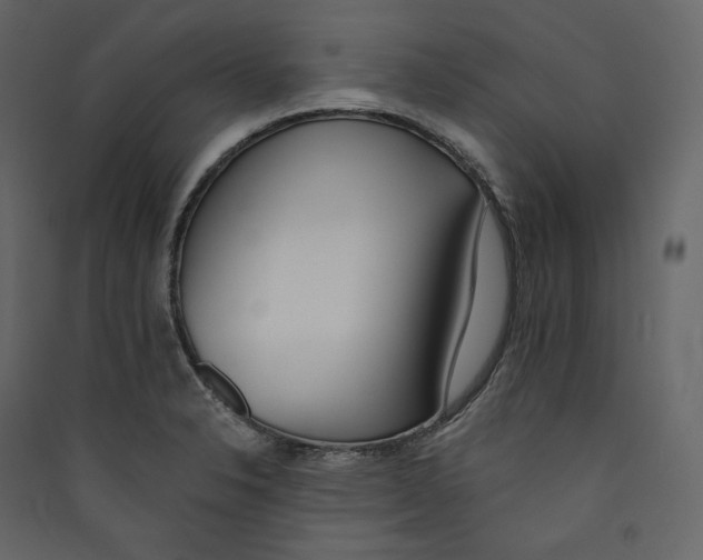 X0000089421326200707131814