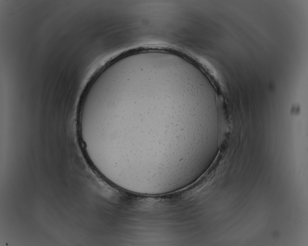 X0000089421327200707131814