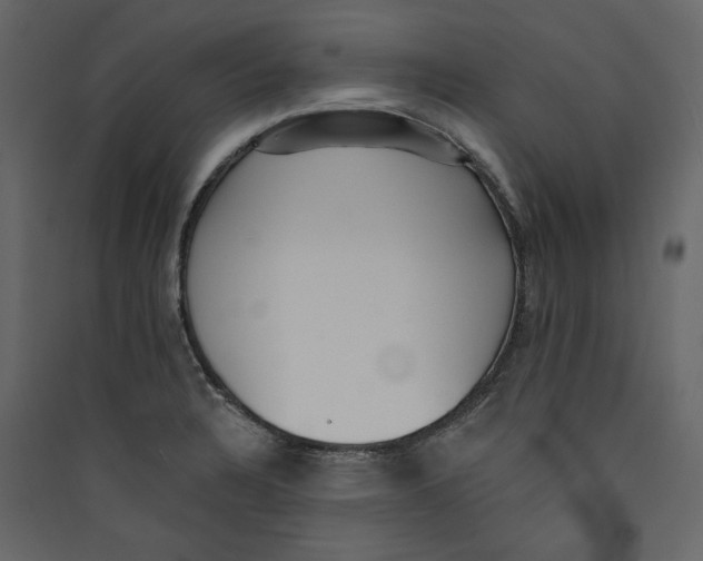 X0000089421328200707131814