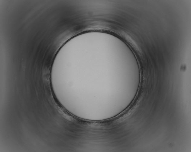 X0000089421329200707131814