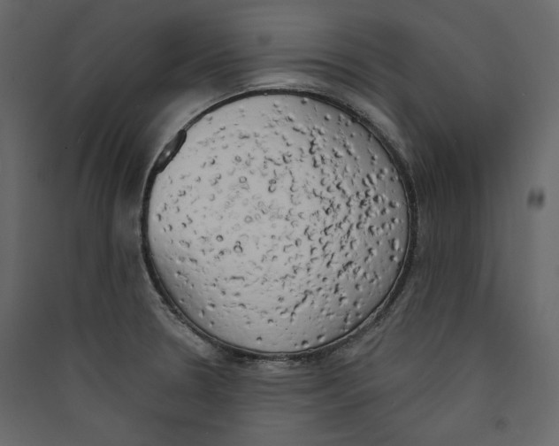 X0000089421330200707131814
