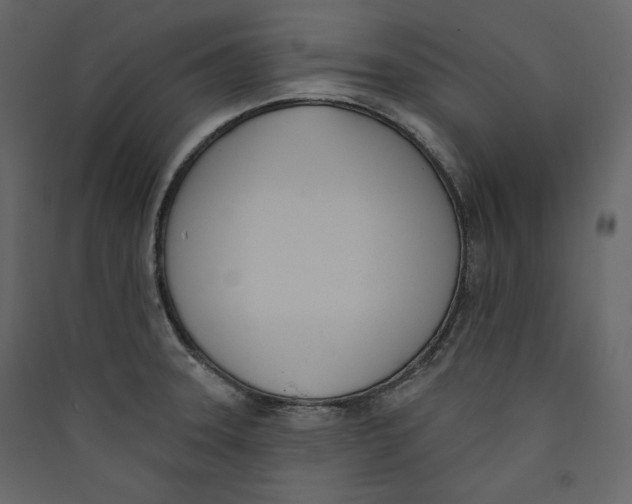 X0000089421331200707131814