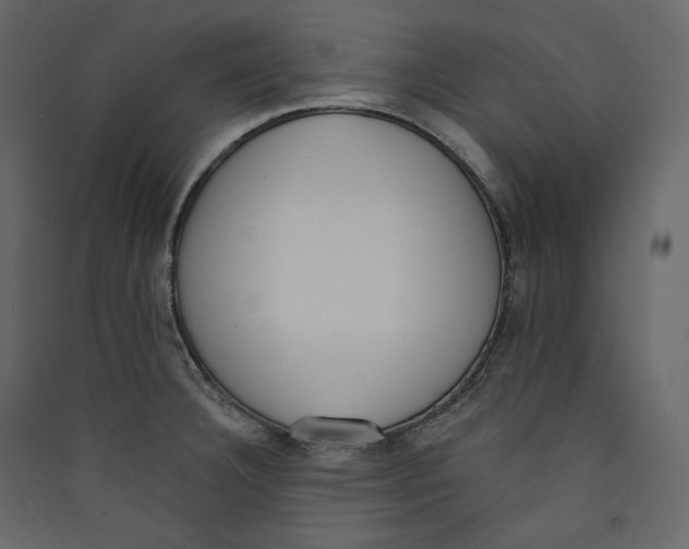 X0000089421332200707131814