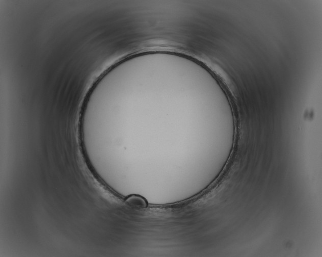 X0000089421333200707131814