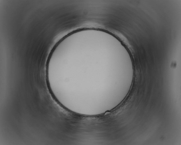 X0000089421335200707131814
