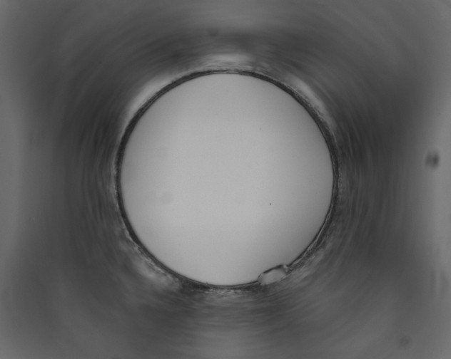 X0000089421336200707131814