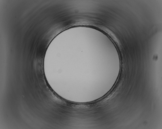 X0000089421337200707131814