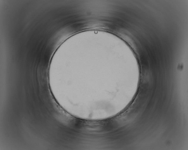 X0000089421338200707131814