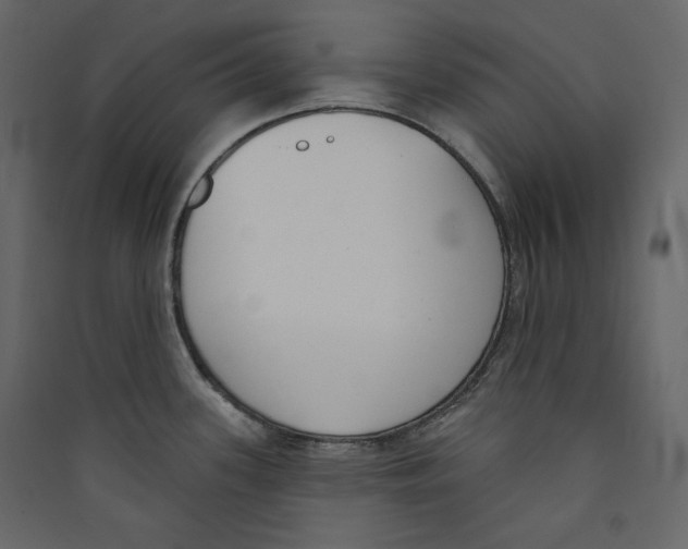 X0000089421339200707131814