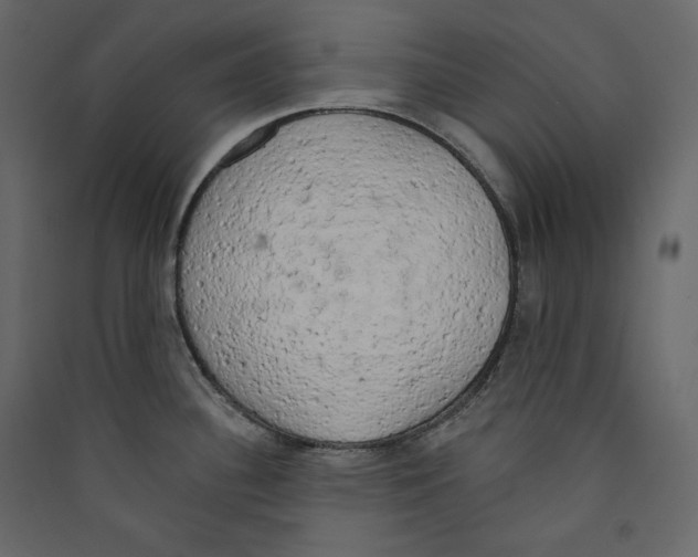 X0000089421340200707131814