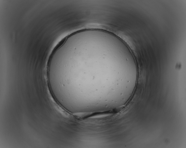 X0000089421342200707131814