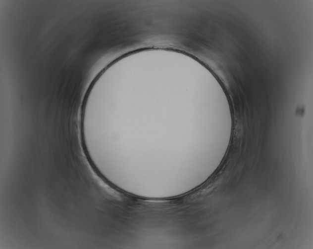 X0000089421343200707131814
