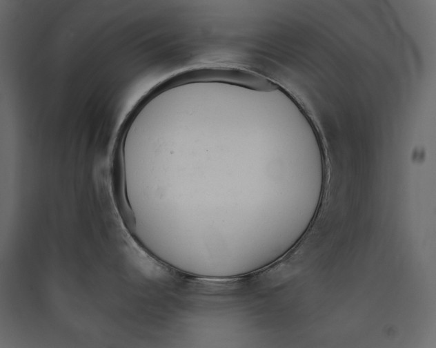 X0000089421344200707131814