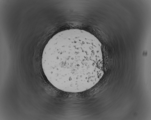 X0000089421345200707131813