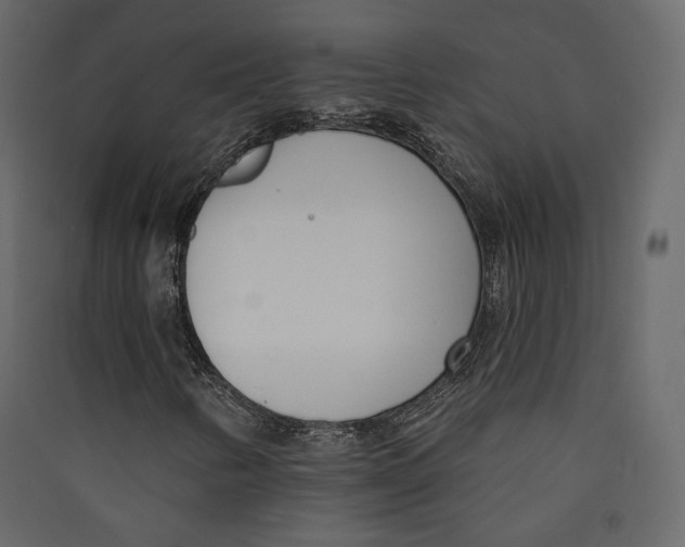 X0000089421346200707131813