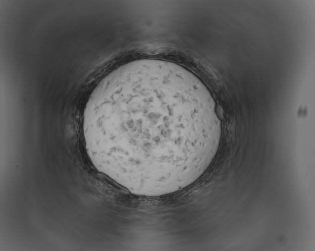 X0000089421349200707131813