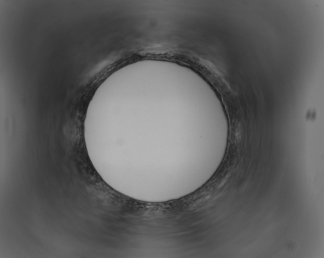 X0000089421350200707131813