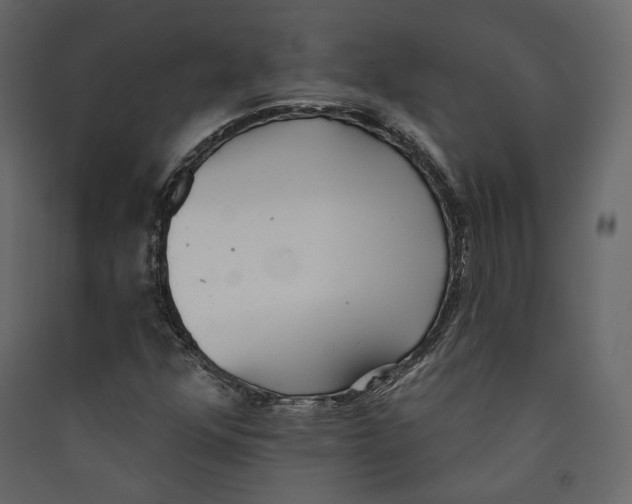 X0000089421352200707131813