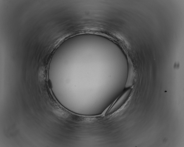 X0000089421353200707131813