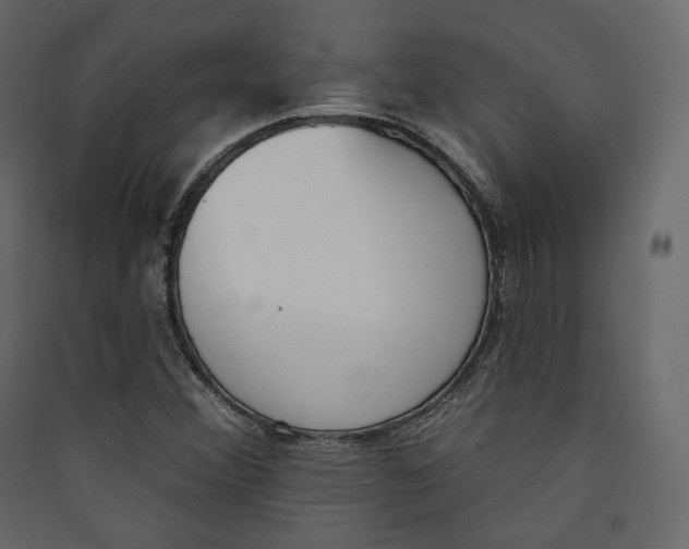 X0000089421356200707131813