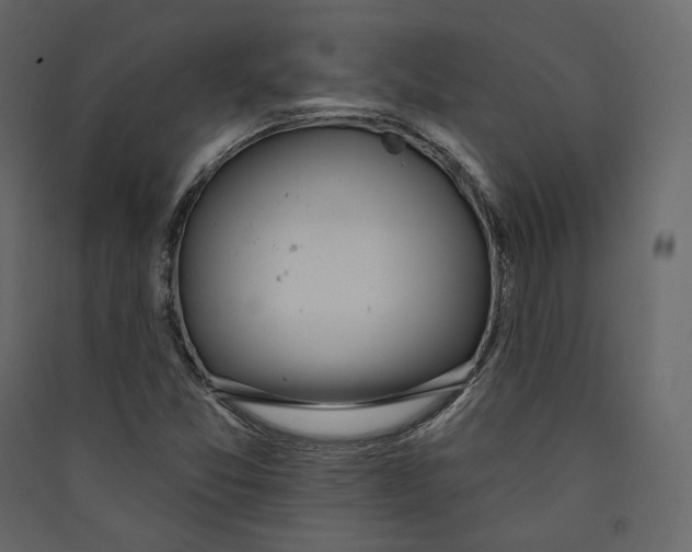 X0000089421357200707131813