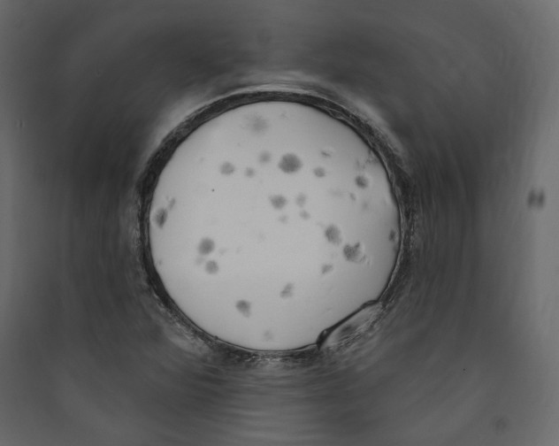 X0000089421360200707131813