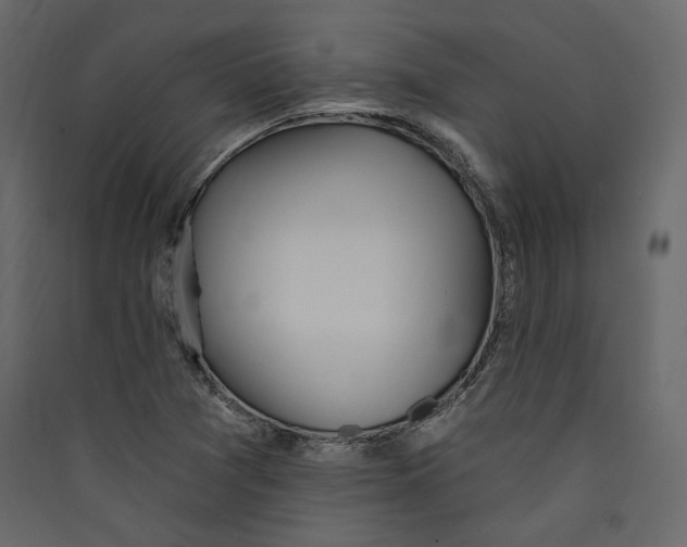 X0000089421361200707131813