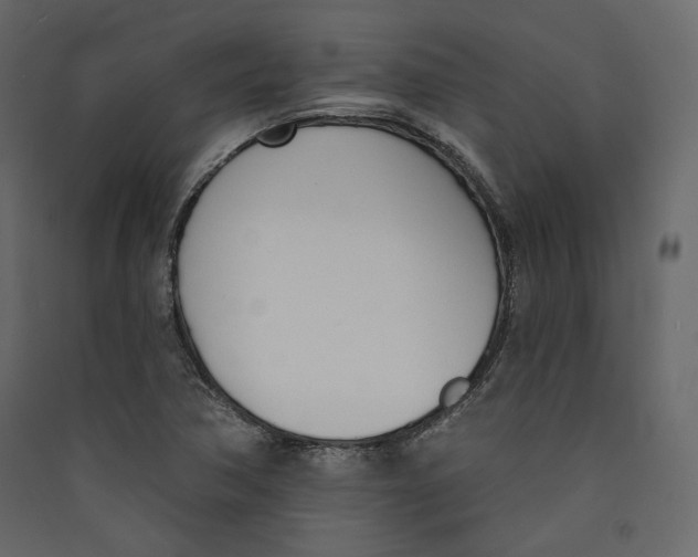 X0000089421362200707131813