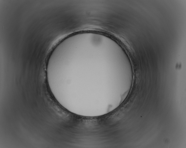 X0000089421363200707131813