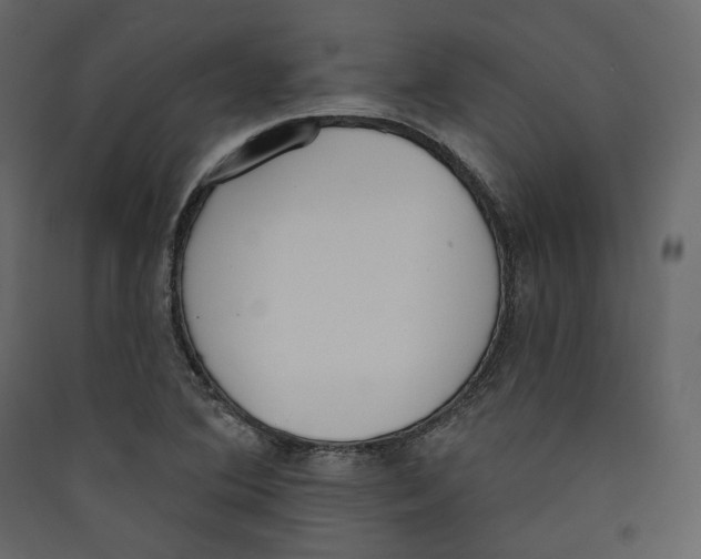 X0000089421364200707131813