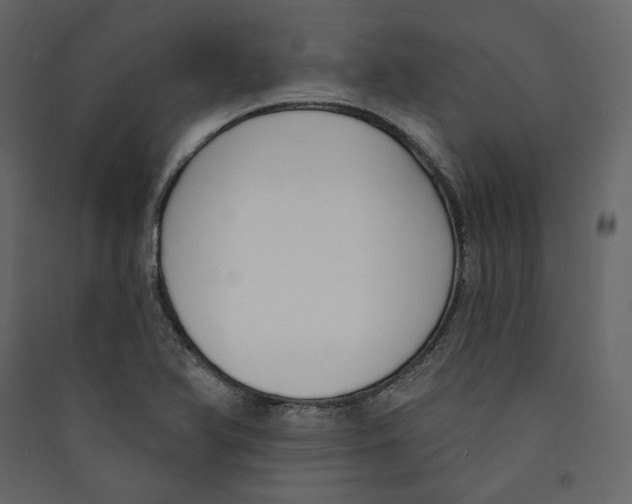 X0000089421366200707131813