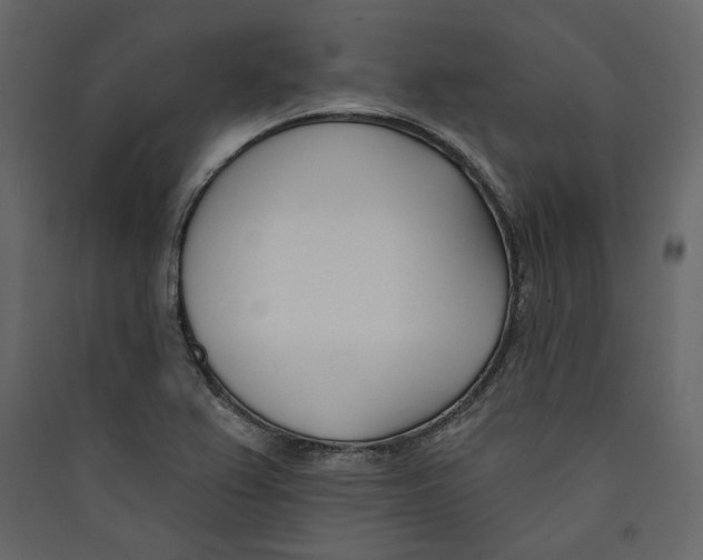 X0000089421367200707131813