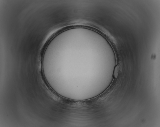 X0000089421368200707131813