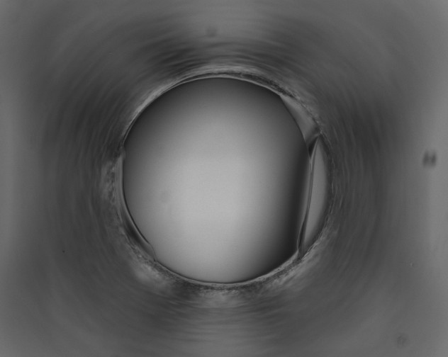 X0000089421369200707131813