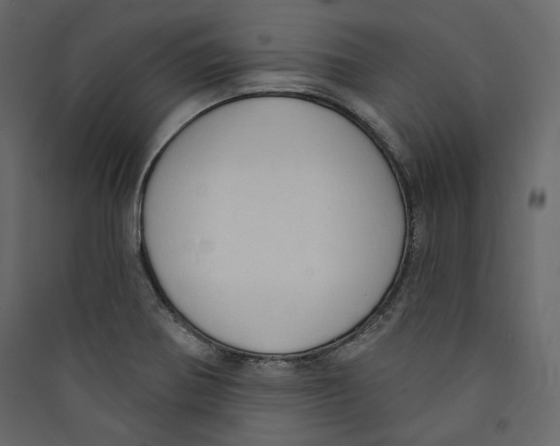 X0000089421370200707131813