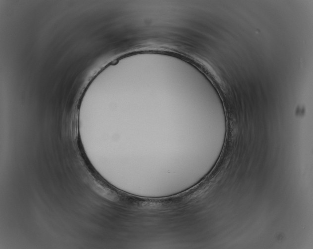 X0000089421371200707131813